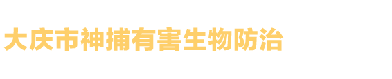 1566公司范文網(wǎng)